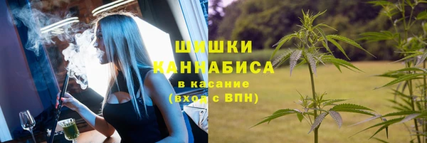 мяу мяу мука Аркадак