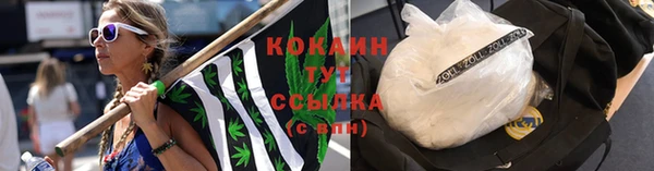 дурь Армянск