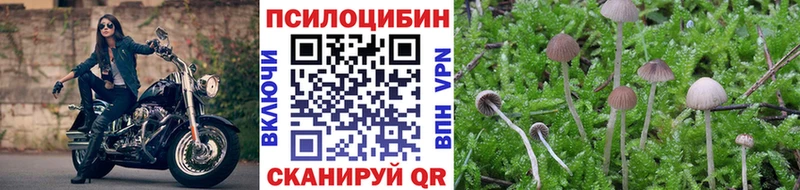 Псилоцибиновые грибы Magic Shrooms Озёрск