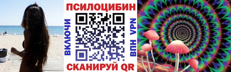 Псилоцибиновые грибы мицелий  Озёрск 
